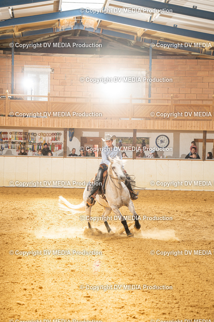 MIT01333 | dv-media-shop - Realisiert mit Pictrs.com