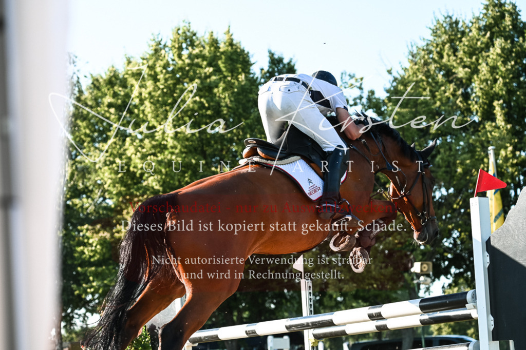 DSC_3099 | Pferde- und Turnierfotografie in Westsachsen. Pferdeportraits, Auftragszeichnungen und intuitive Kunst.