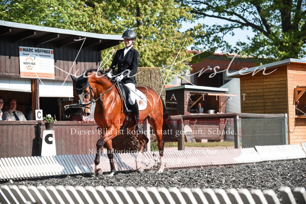 DSC_8669 | Pferde- und Turnierfotografie in Westsachsen. Pferdeportraits, Auftragszeichnungen und intuitive Kunst.