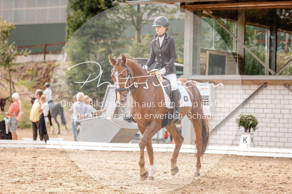 3I6A3905 | Stimmungsvolle Portraits und Reitsportfotografie im Ruhrgebiet und im Münsterland.

Pferdefotografie, Hundefotografie, Tierfotografie, Reportagen, Portraits von Tier und Mensch, Turnierfotografie in Bochum, Recklinghausen, Marl, Haltern am See, Dülmen.. - Realisiert mit Pictrs.com
