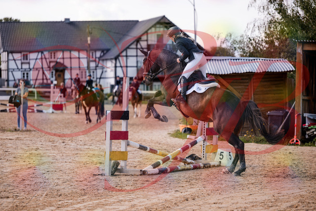 2026_10_03_Siefer-Hof_144053_Z81_12303307 | Professionelle Reitsport-, Turnier- und Eventfotografie von Robert Broda. Galerien mit ausgewählten und bearbeiteten Bildern direkt online ansehen und bestellen.