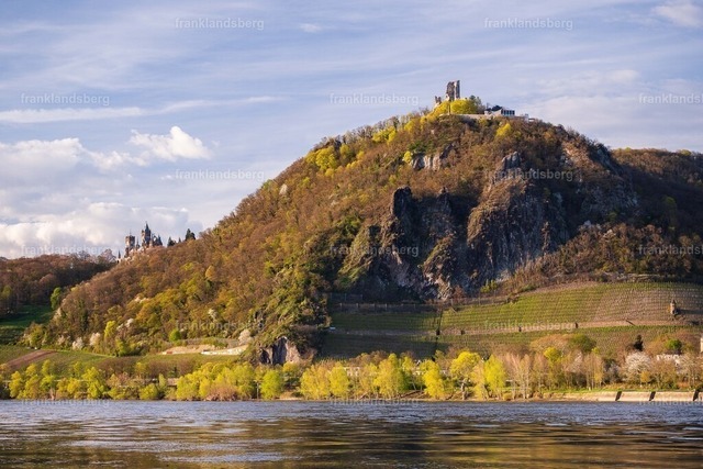 DSC_3144 | Bilder von Frank Landsberg / Siebengebirge in Bildern - Realisiert mit Pictrs.com
