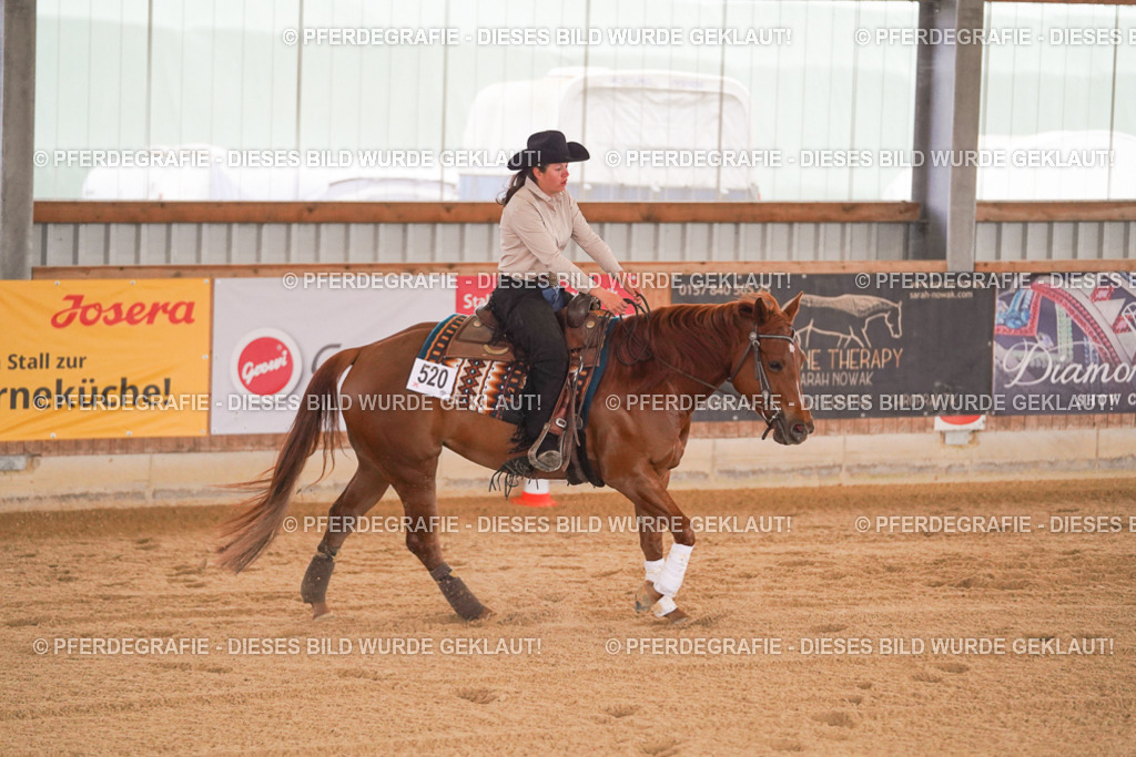 DSC00107 | Pferdegrafie