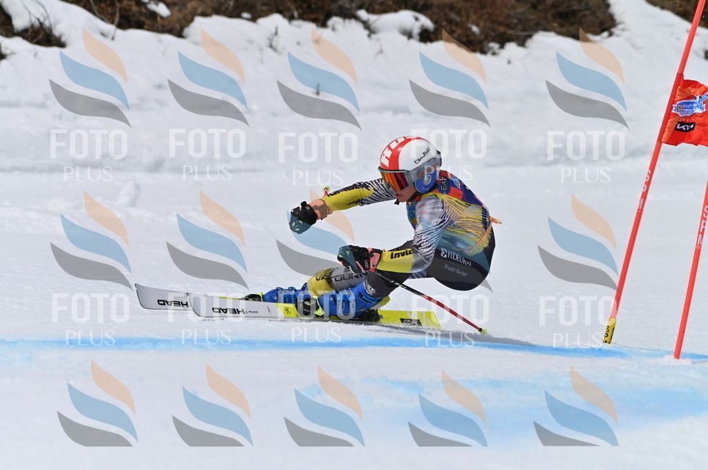 BGV_4605 | holidayphoto