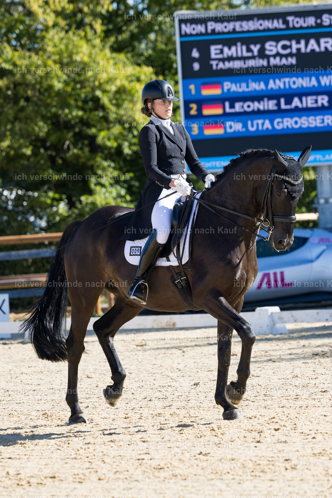 FHC2026_P07_9_17497 | working equitationturnier fotograf videograf stoibphotography marixx film working equitation deutschland reitsport turnierfotografie eventfotografie equestrian events