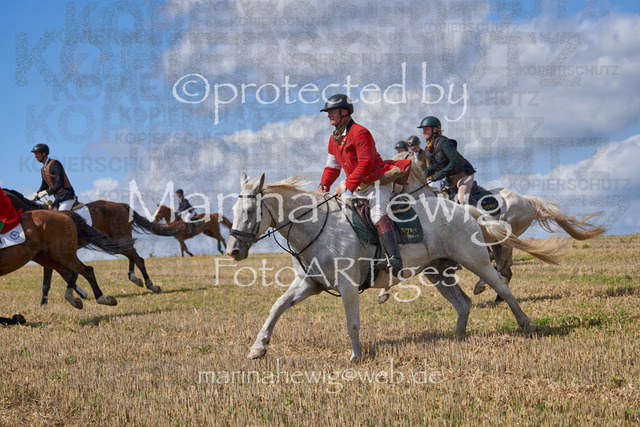 _MCH8482_Marina Hewig | Fotografie, FotoArt, PferdesportArt, Pferdesportfotografie, Landschaftsfotografie, Reisefotografie, Reise, Pferde - Realisiert mit Pictrs.com