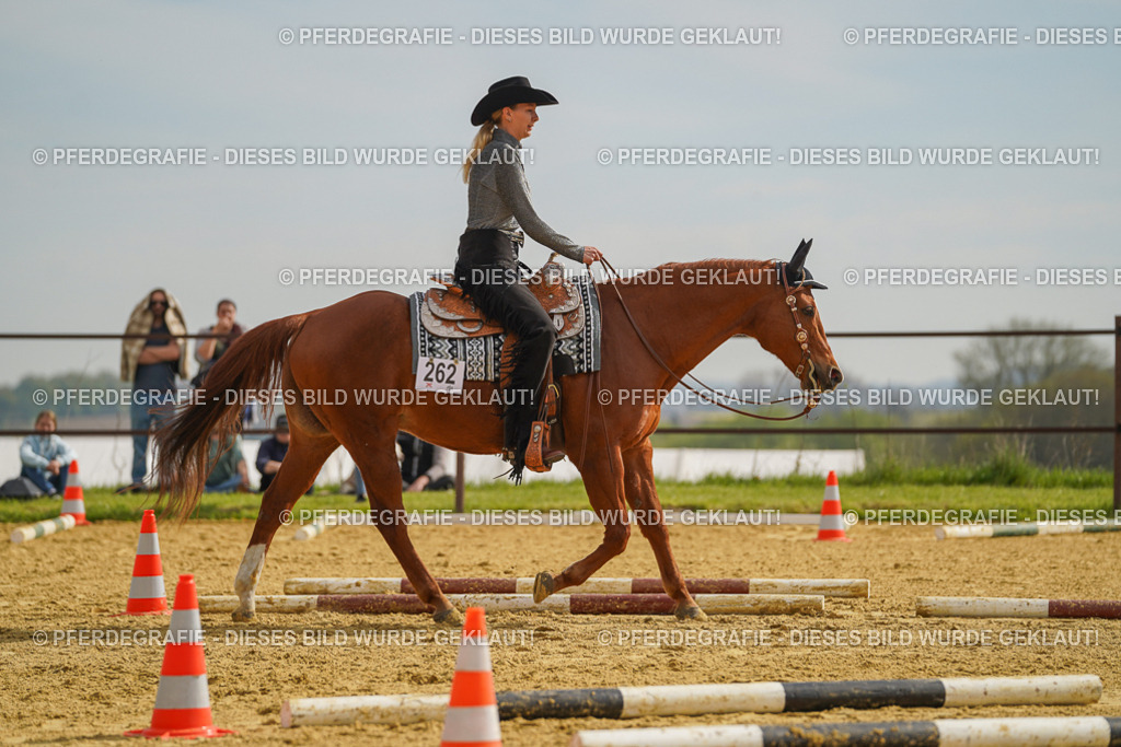 DSC01915 | Pferdegrafie