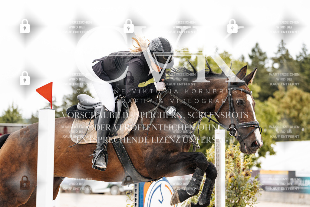 CK906353 | Turnierfotografie Pferdefotografie Trier Rheinland-Pfalz Pferdesport Reitsport Tierfotografie Sportfotografie Pferdevideo Pferdevideografie Equestrianvideography equestrianphotography  - Realisiert mit Pictrs.com