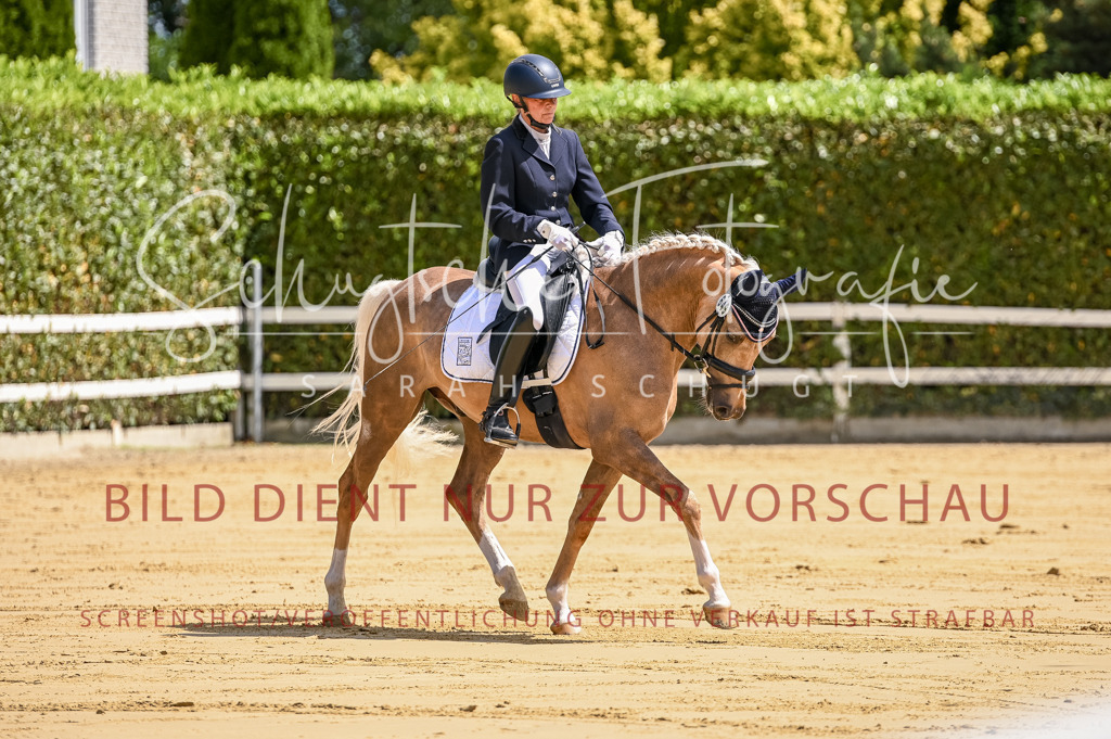 Schugtsche-Aluta25-48.Reitpferfdeprf.-56 | Schugtsche Fotografie - Realizzato con Pictrs.com