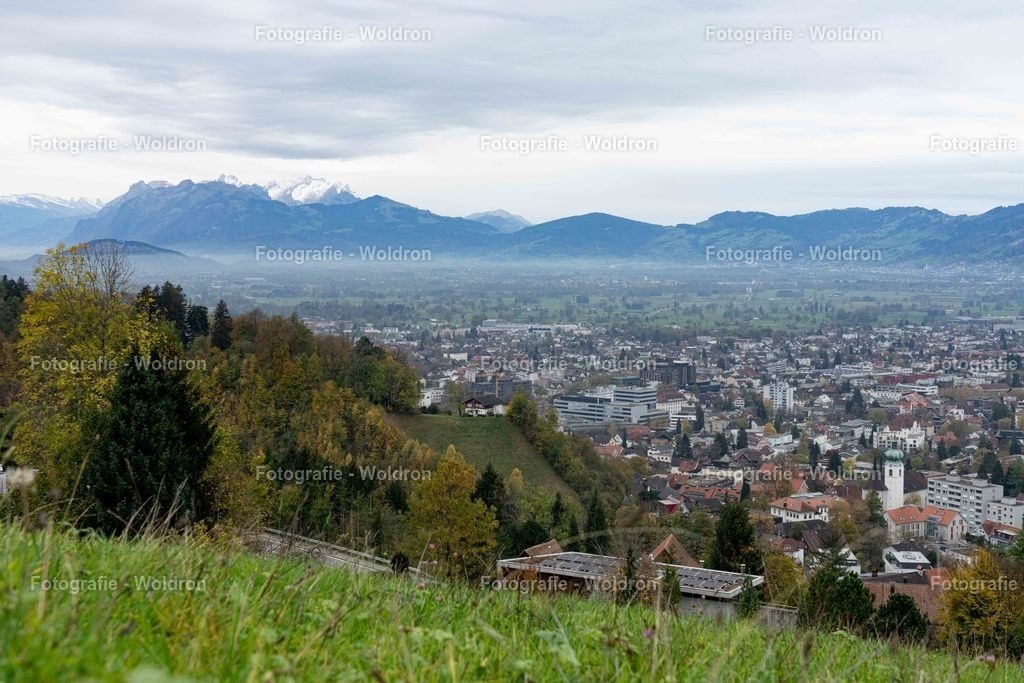 20221109 Rappenlochschlucht Dornbirn-19 | Fotografie Woldron