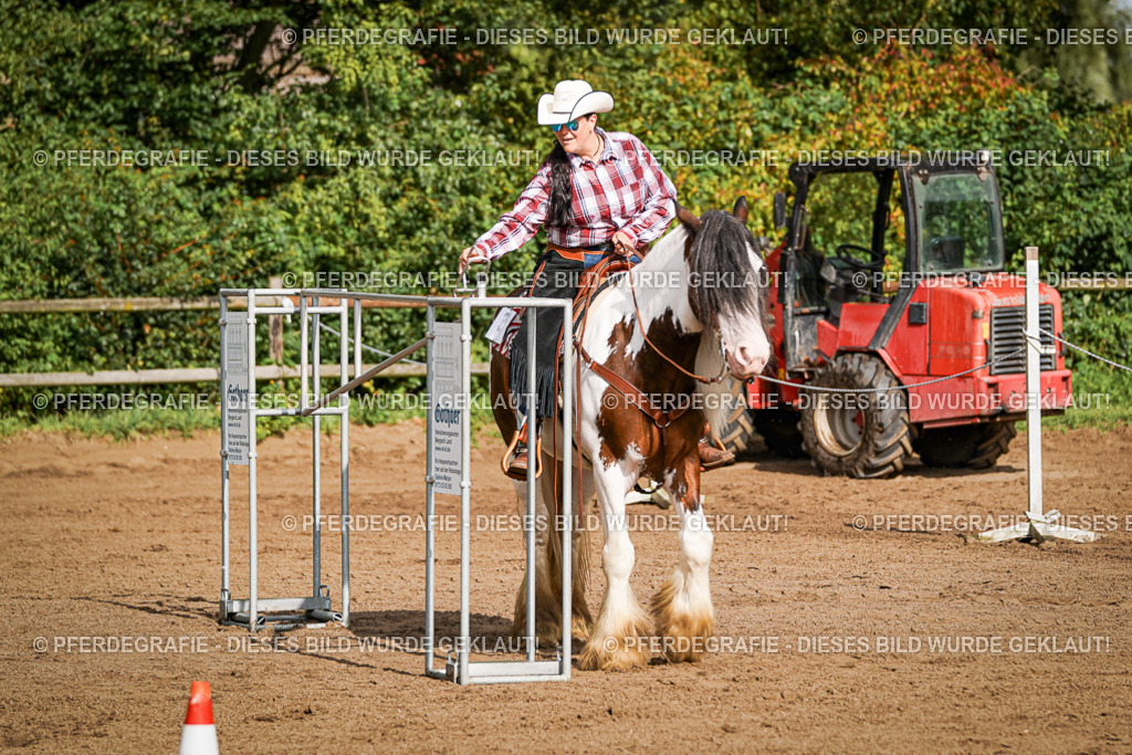 DSC09836 | Pferdegrafie