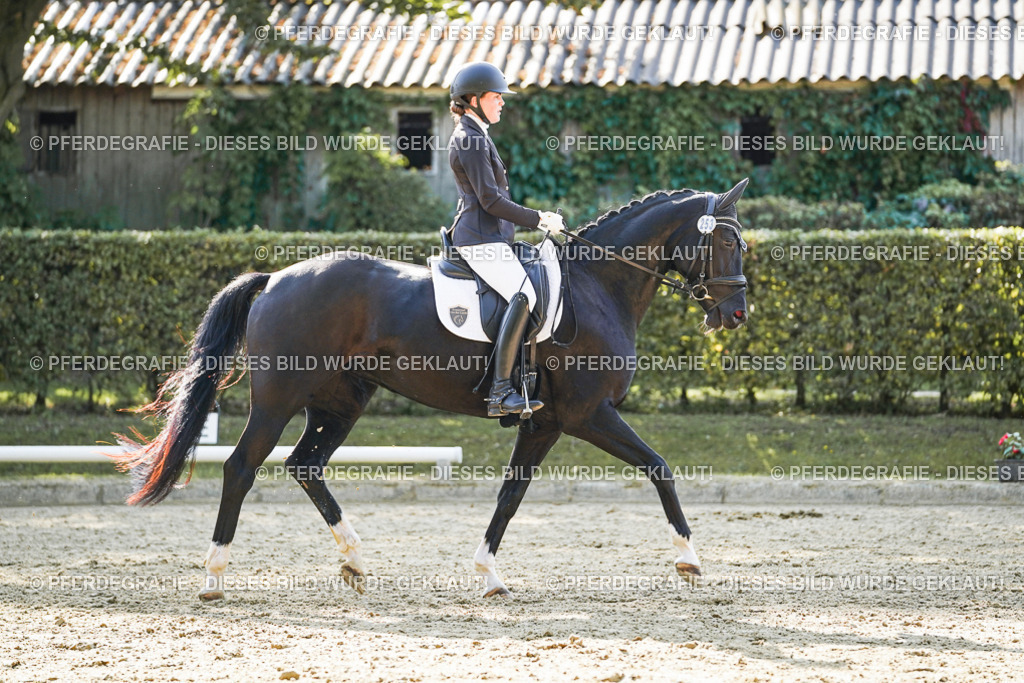 DSC06660 | Pferdegrafie