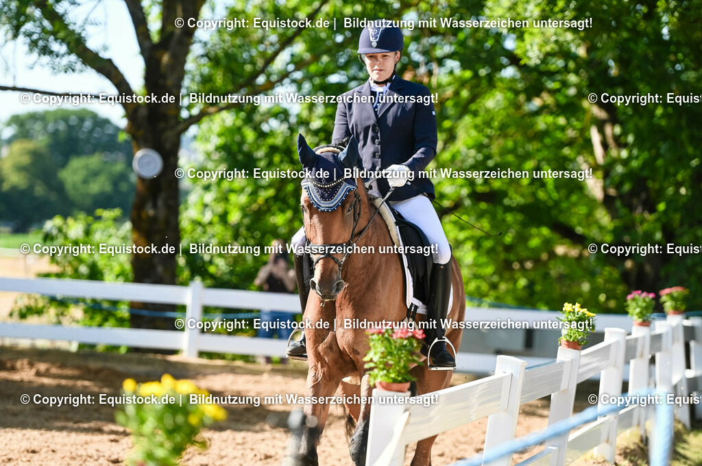 20230715_06_Dressurpferdeprfg. Kl.A_0210 | equistock