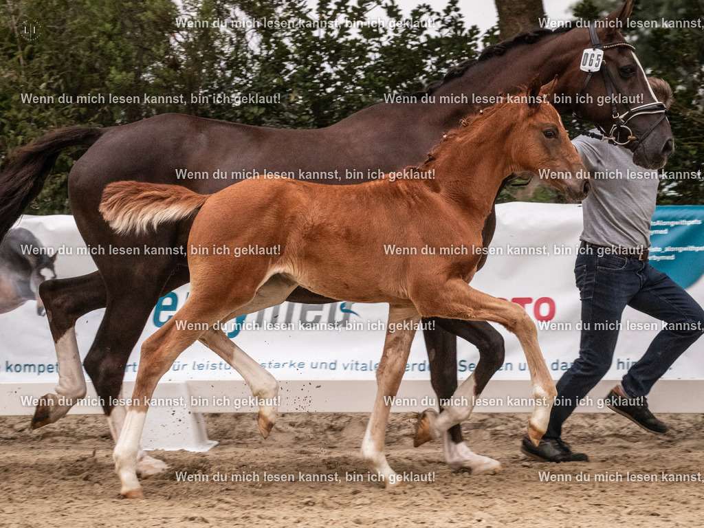 A10I6637 | photographylinaismer - Realisiert mit Pictrs.com