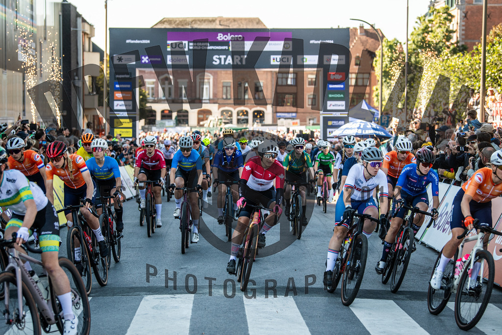 DKP-7309 | Drew Kaplan Photography