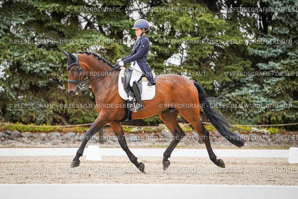 DSC05369 | Pferdegrafie