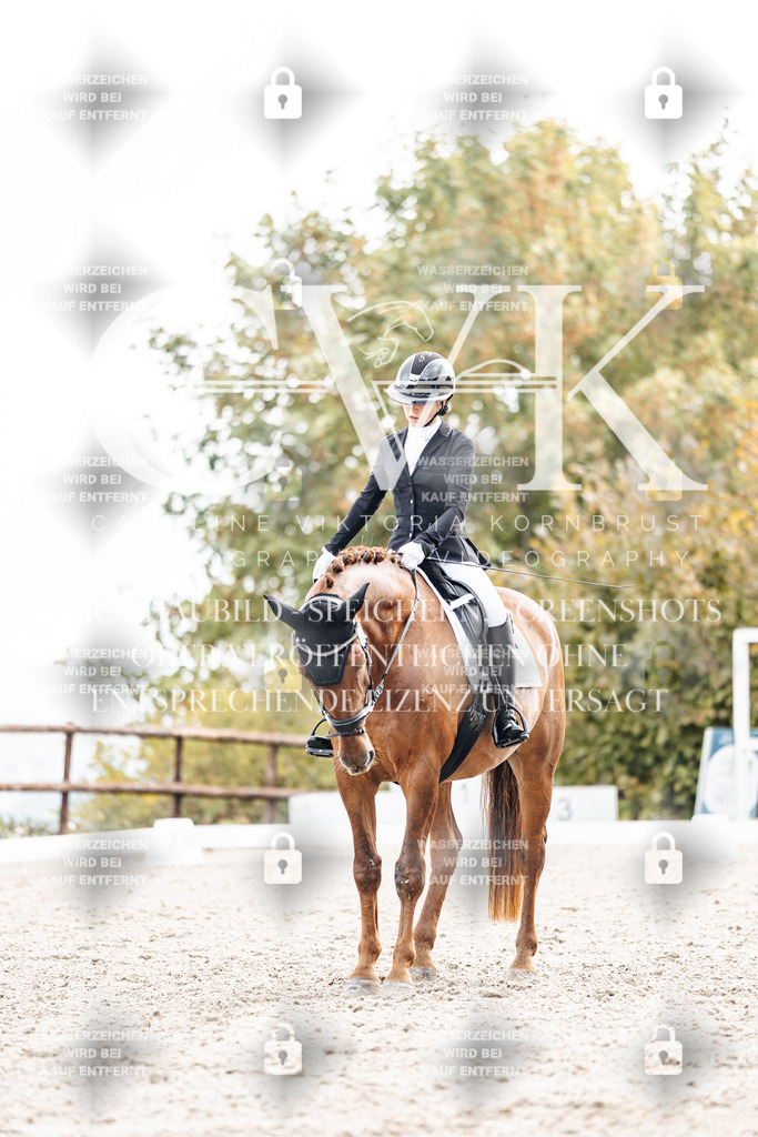 CK900890 | Turnierfotografie Pferdefotografie Trier Rheinland-Pfalz Pferdesport Reitsport Tierfotografie Sportfotografie Pferdevideo Pferdevideografie Equestrianvideography equestrianphotography  - Realisiert mit Pictrs.com