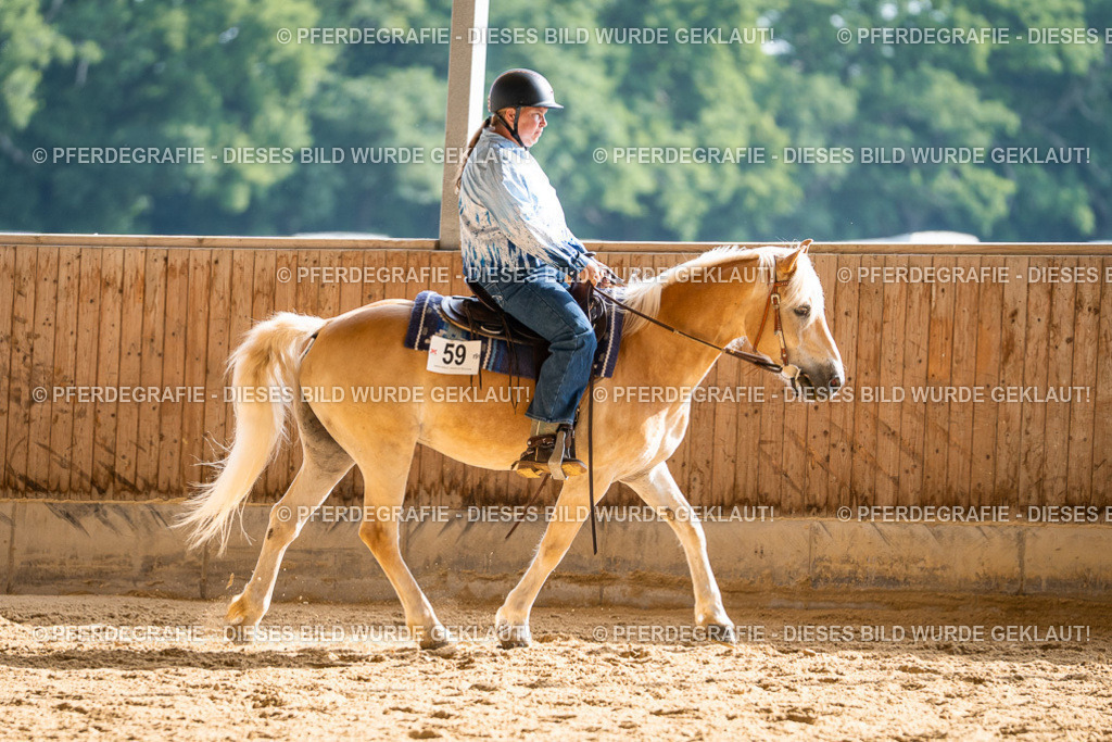 DSC08009 | Pferdegrafie