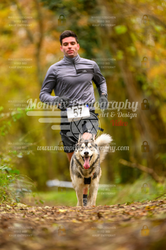 MompixPhotography_Bischwiller24_SA_Canicross-45 | PayLife