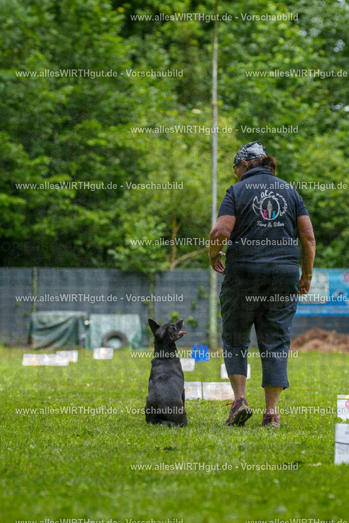 @allesWIRTHgut_Tierfotografie - www.allesWIRTHgut.de - 124424-7R509391 | Professionelle Tierfotografie in Mönchengladbach von Daniel Wirth (allesWIRTHgut). Liebevolle & natürliche Bilder von Hunden & Katzen für unvergessliche Erinnerungen.