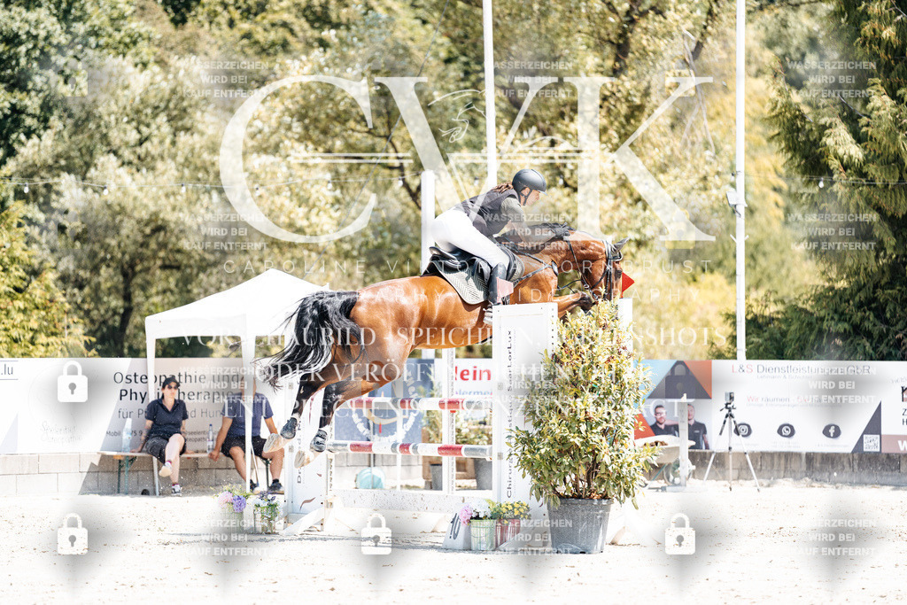 CK900325 | Turnierfotografie Pferdefotografie Trier Rheinland-Pfalz Pferdesport Reitsport Tierfotografie Sportfotografie Pferdevideo Pferdevideografie Equestrianvideography equestrianphotography  - Realisiert mit Pictrs.com