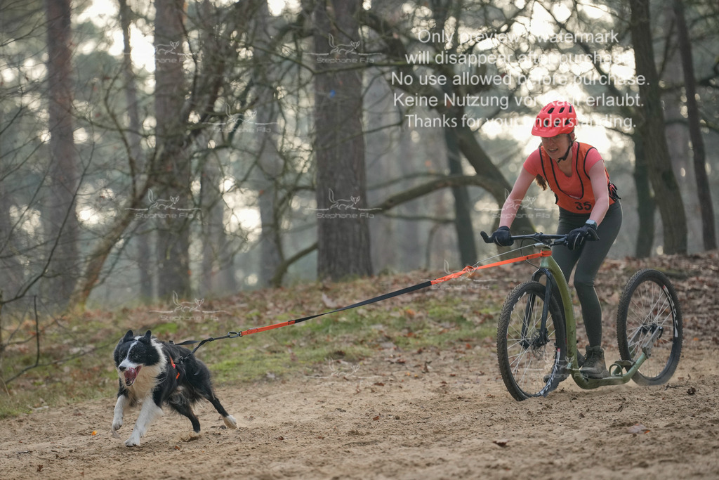 Scooter1-190 | stephaniefillaphotographie - Realisiert mit Pictrs.com