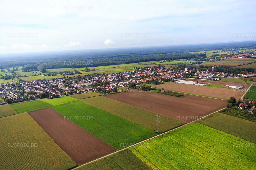 Luftbild: Dorfansicht aus Nordosten in Minfeld im Bundesland Rheinland-Pfalz in Deutschland.Foto: IMG_072519.jpg vom 19.09.2014 durch Werner Riehm/FLY-FOTO.deAuflösung des Originals: 5472 x 3648 px
