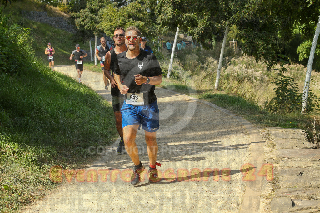 250824_1436_EX1_6843 | Sportfotografie im Rhein-Sieg Kreis, Köln, Bonn, NRW, Rheinland Pfalz, Hessen, etc. Unser Tätigkeitsfeld umfasst den Laufsport vom Volkslauf über den Marathon, Duathlon, Triathon bis zum Ultralauf wie Kölnpfad Ultra oder Schindertrail.