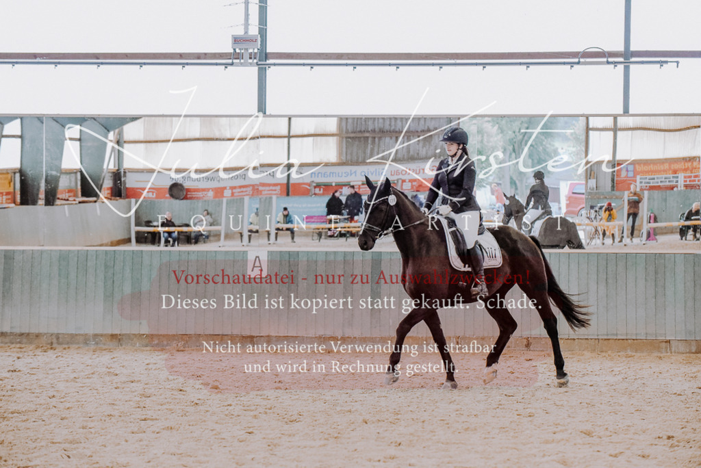 DSC_7640 | Pferde- und Turnierfotografie in Westsachsen. Pferdeportraits, Auftragszeichnungen und intuitive Kunst.