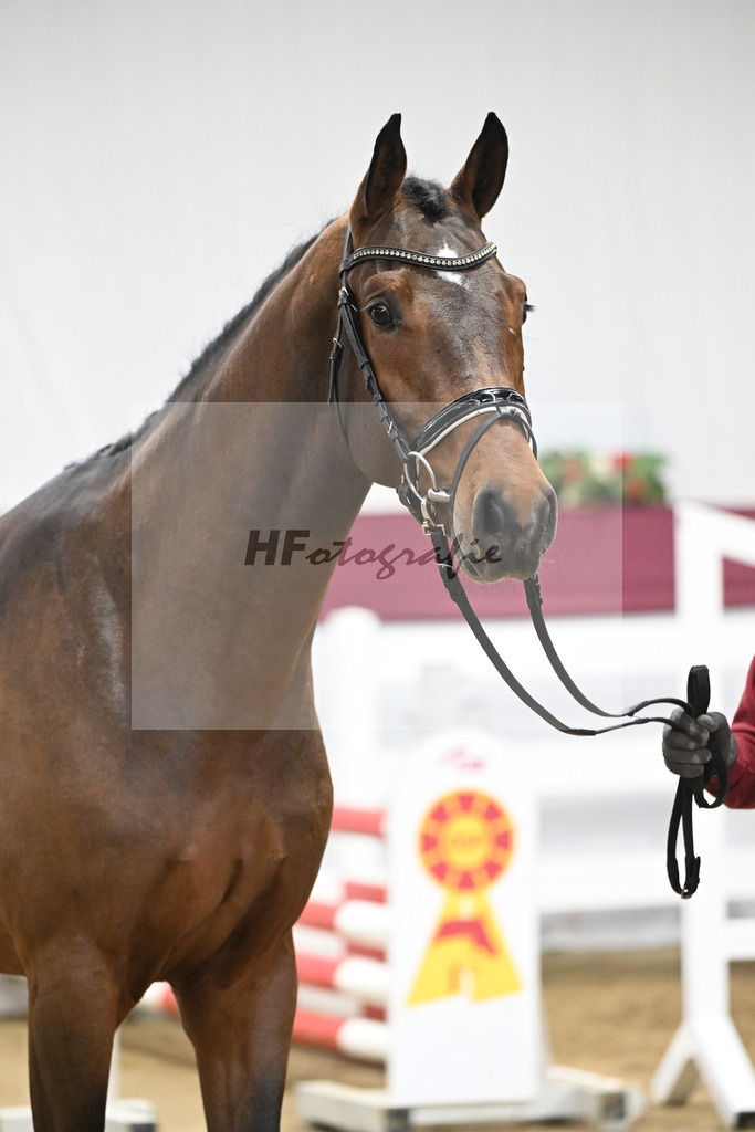 Kat-Nr. 90 Million Dollar x Cash and Carry_Ralf Laubheimer_47253113 | hf-fotografie - Realisiert mit Pictrs.com