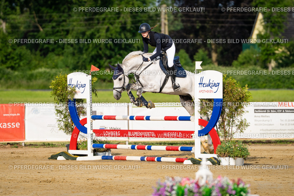 DSC02341 | Pferdegrafie