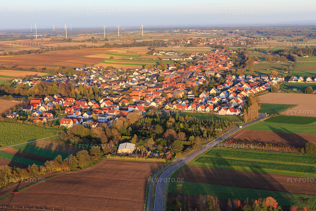 Luftbild: Dorfansicht aus Westen hinter der Baumschule in Wörth am Rhein im Bundesland Rheinland-Pfalz in Deutschland. Foto: IMG_104450.jpg vom 31.10.2017 durch Werner Riehm/FLY-FOTO.de