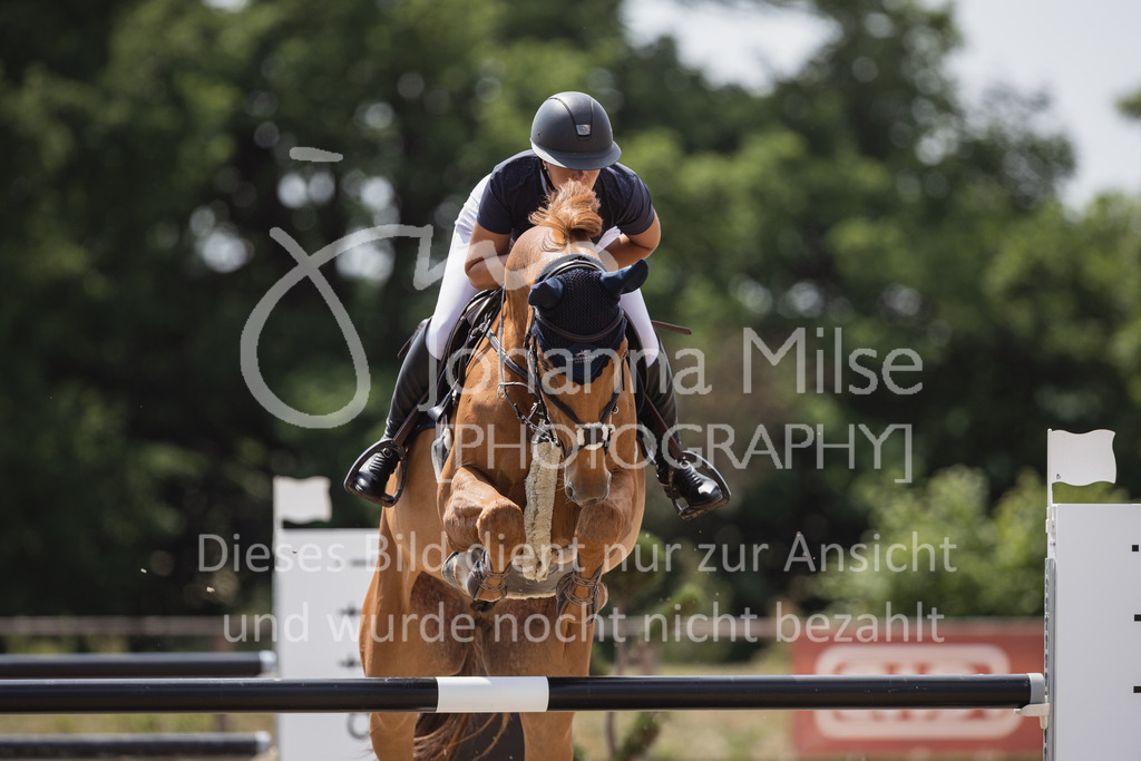 230624_PfSpTa_YoungsterM2-826 | Deine schönsten Turniermomente als professionelle Fotos! Entdecke hochwertige Pferdesport-Fotografie im Online-Shop. Jetzt Fotos finden & bestellen!