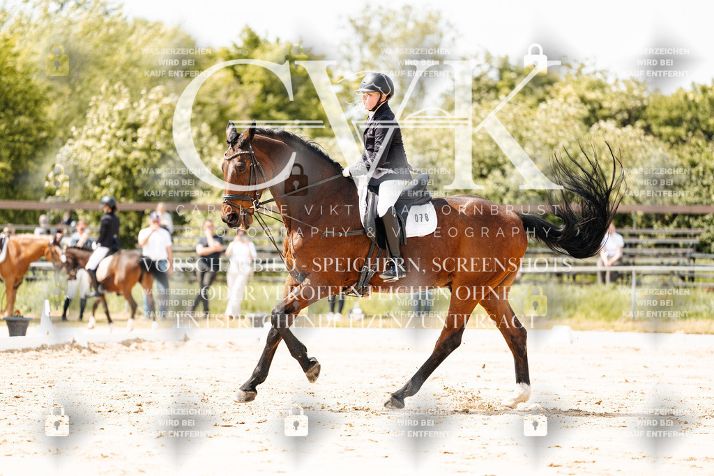 CK901825 | Turnierfotografie Pferdefotografie Trier Rheinland-Pfalz Pferdesport Reitsport Tierfotografie Sportfotografie Pferdevideo Pferdevideografie Equestrianvideography equestrianphotography  - Realisiert mit Pictrs.com