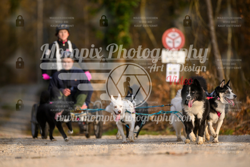 MompixPhotography_6ReiatRennen2026_SO_Kart-29 | PayLife