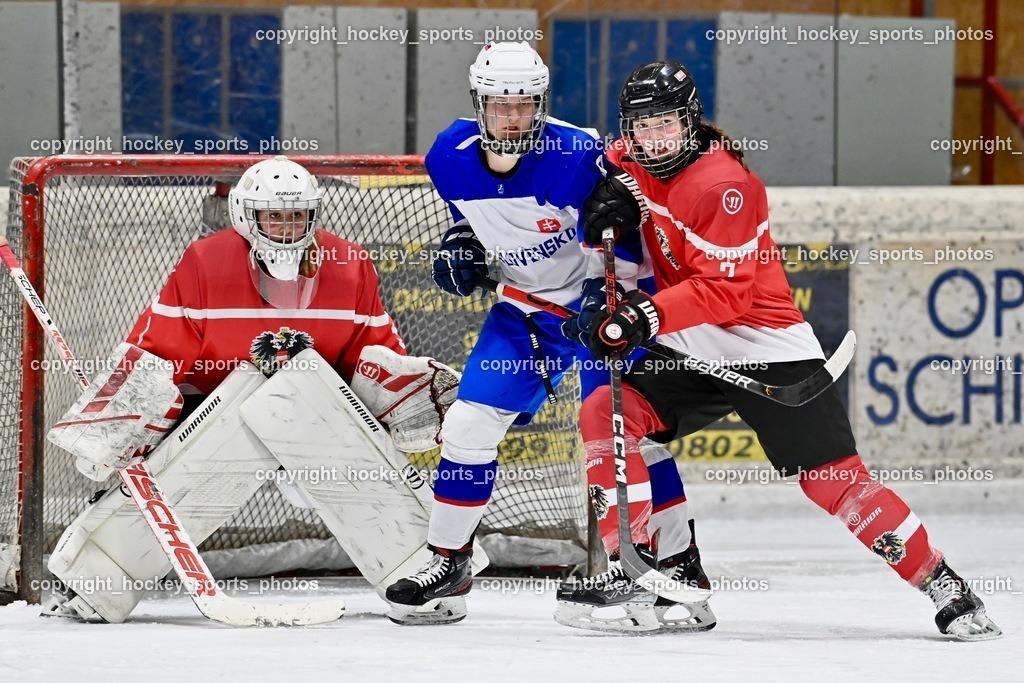 BST_3719 | hockey sports photos, Pressefotos, Sportfotos, hockey247, win 2day icehockeyleague, Handball Austria, Floorball Austria, ÖVV, Kärntner Eishockeyverband, KEHV, KFV, Kärntner Fussballverband, Österreichischer Volleyballverband, Alps Hockey League, ÖFB, 
