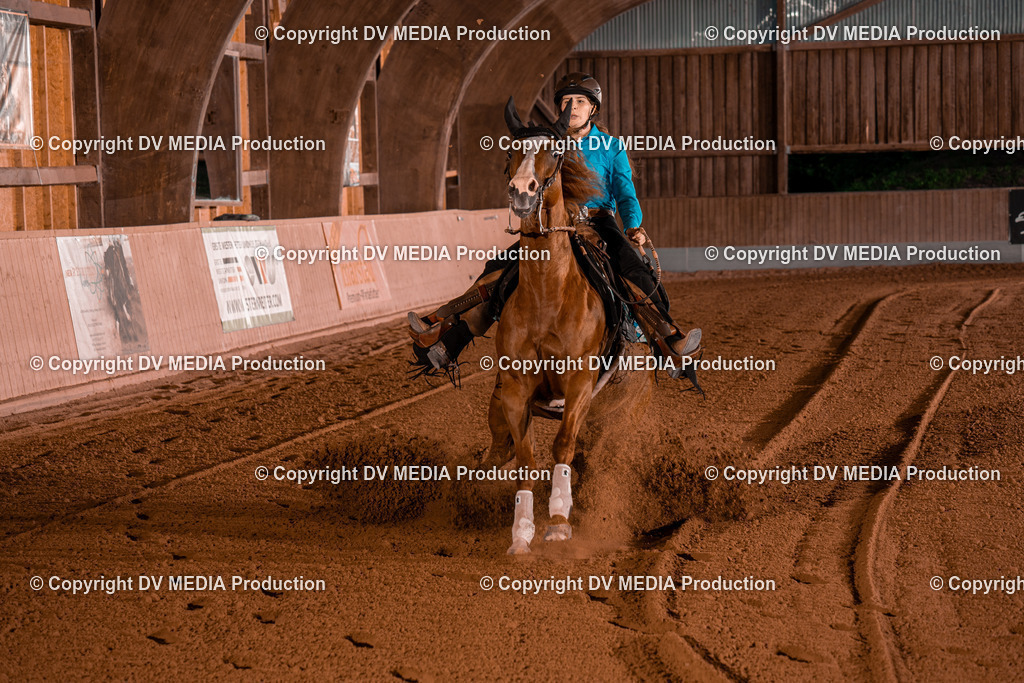 NE201529 | dv-media-shop - Realisiert mit Pictrs.com