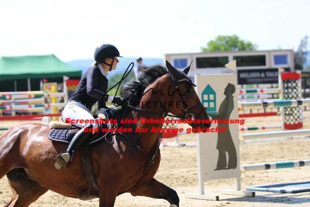 IMG_3017 | lmwpictures - Realisiert mit Pictrs.com