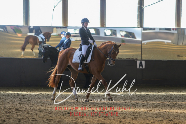 IMG_2340 | Turniersportfotografie; Pferdefotografie; Dressurfotografie