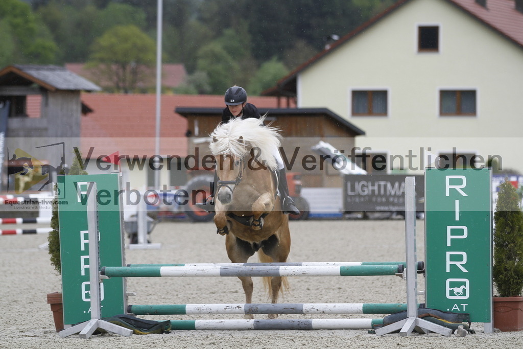 _MG_0717 | equestrian-live-com