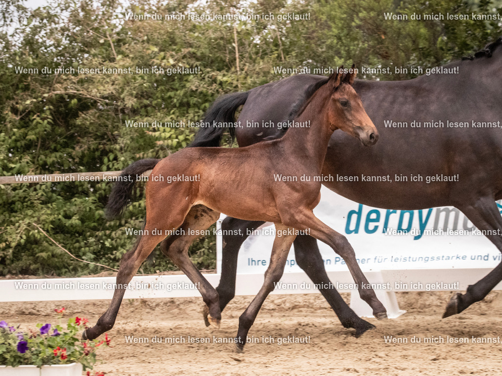 A10I6003 | photographylinaismer - Realisiert mit Pictrs.com