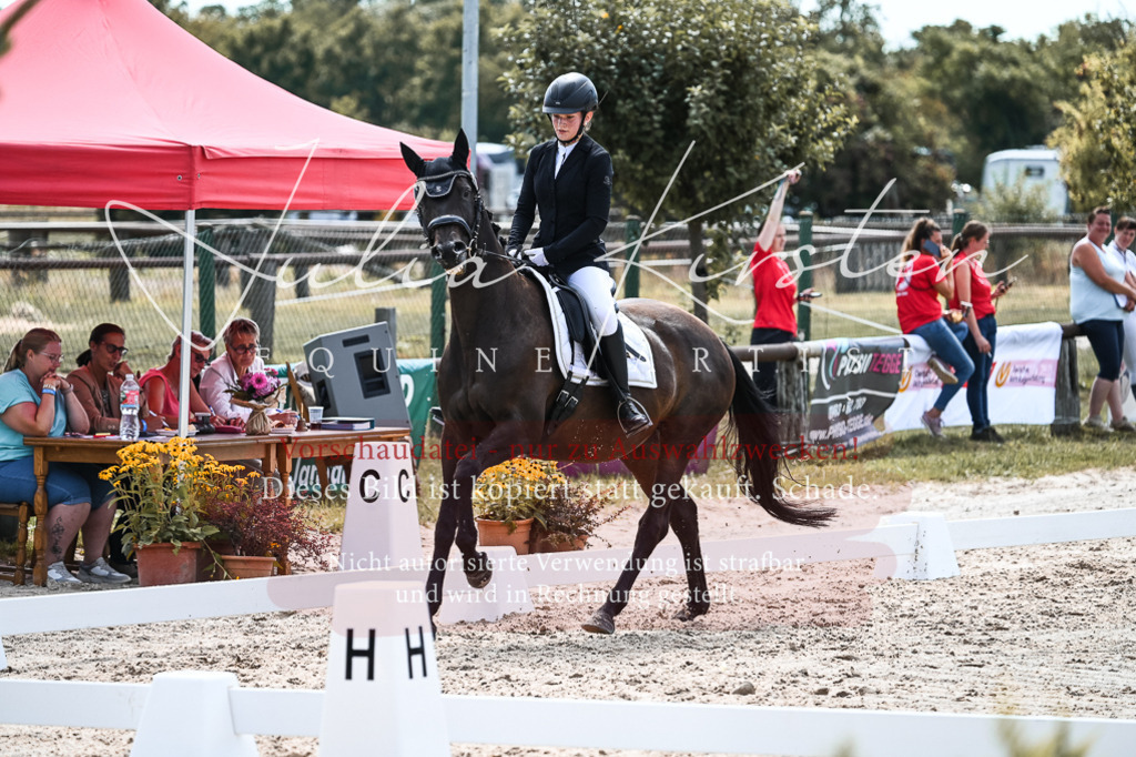 DSC_5277 | Pferde- und Turnierfotografie in Westsachsen. Pferdeportraits, Auftragszeichnungen und intuitive Kunst.