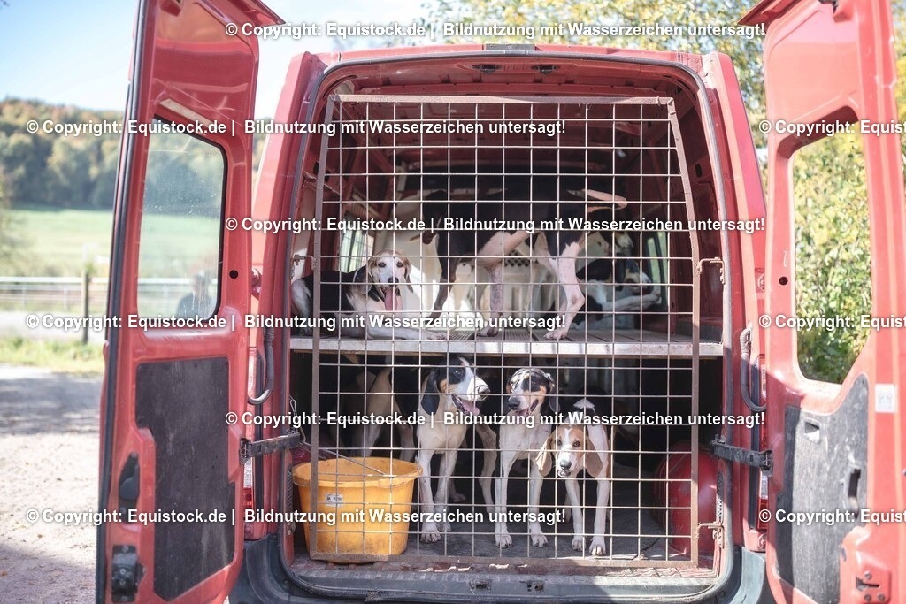 20251011_Jagd-Marbach_0092 | Foto: Thomas Hartig