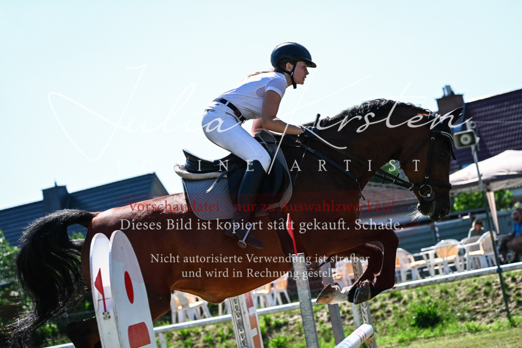 DSC_1740 | Pferde- und Turnierfotografie in Westsachsen. Pferdeportraits, Auftragszeichnungen und intuitive Kunst.