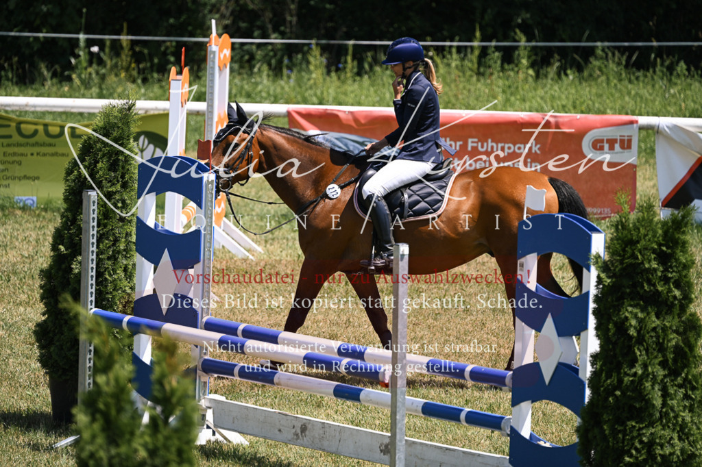 DSC_9938 | Pferde- und Turnierfotografie in Westsachsen. Pferdeportraits, Auftragszeichnungen und intuitive Kunst.