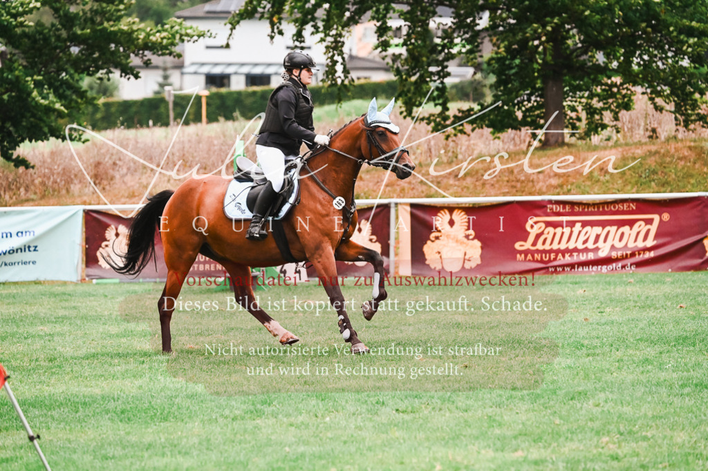 DSC_6042 | Pferde- und Turnierfotografie in Westsachsen. Pferdeportraits, Auftragszeichnungen und intuitive Kunst.