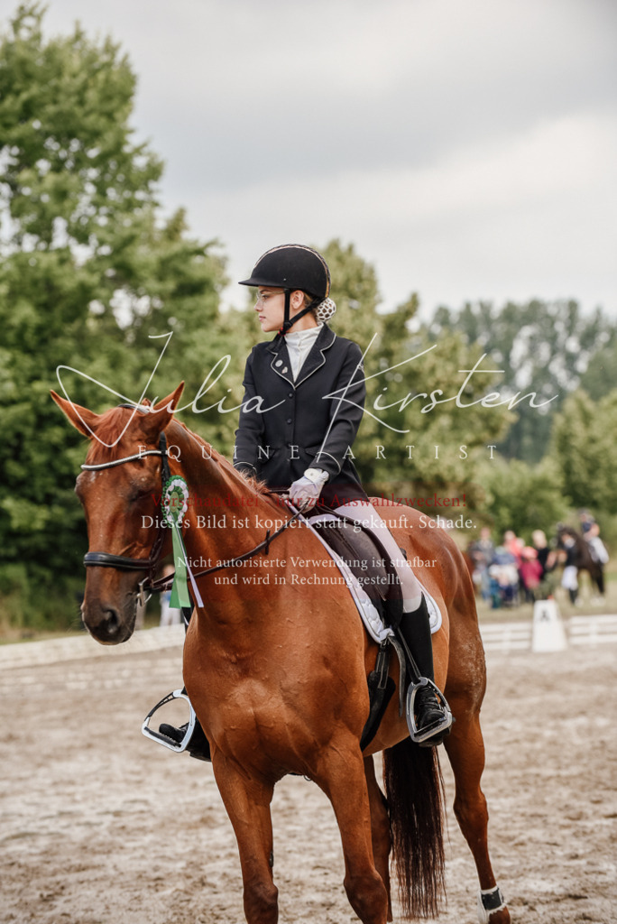 DSC_9383 | Pferde- und Turnierfotografie in Westsachsen. Pferdeportraits, Auftragszeichnungen und intuitive Kunst.