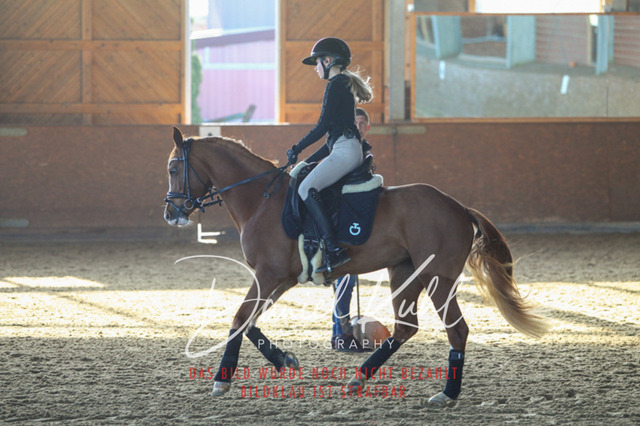 DKP42169 | Turniersportfotografie; Pferdefotografie; Dressurfotografie