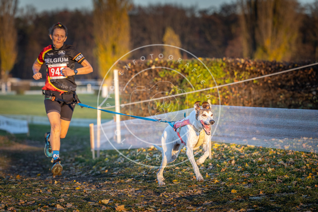 CaniXpix_DV3A5553 | Hundefotografie, Tierfotograf, Pfotenfotografie, Fotoshooting Hund, Hunde Portrait, Hundesport, Hundeportraits, Heideshooting, Hunde, Sportfotograf, Hundefotograf, Turnierhundsport, THS,  - Realisiert mit Pictrs.com