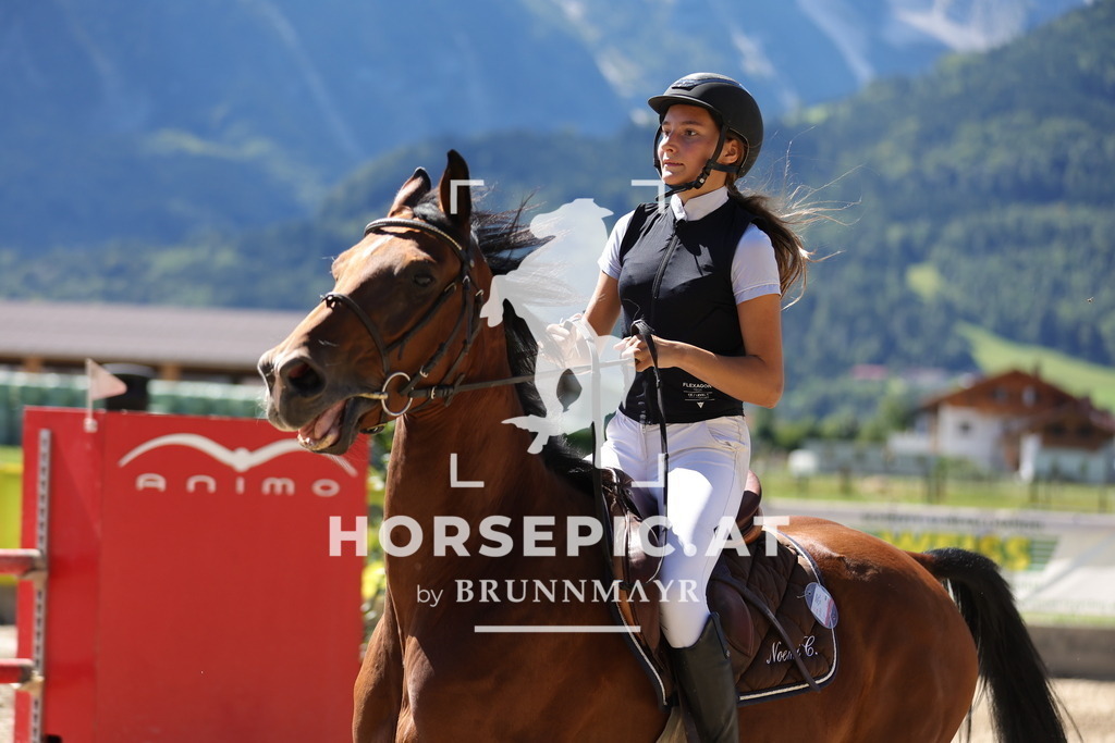 0P6A6344 | Willkommen bei Brunnmayr - Design & Fotografie – Ihrem Spezialisten für Reitturniere und Pferdeveranstaltungen in Oberösterreich, Salzburg und Bayern! Seit über 17 Jahren sind wir leidenschaftlich dabei.